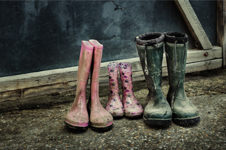 Row of 3 pairs of muddy wellies- 2 adult 1 child